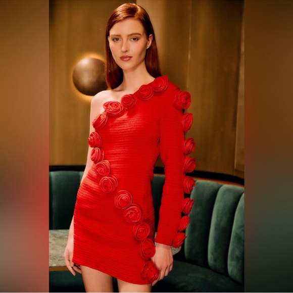 Farm Rio Red Roses One-Shoulder Slim Mini Dress - Picture 3 of 10